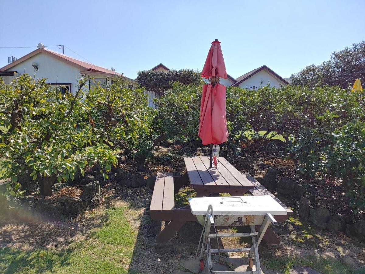 Gyulhouse Pension Sogüpcho Exteriér fotografie